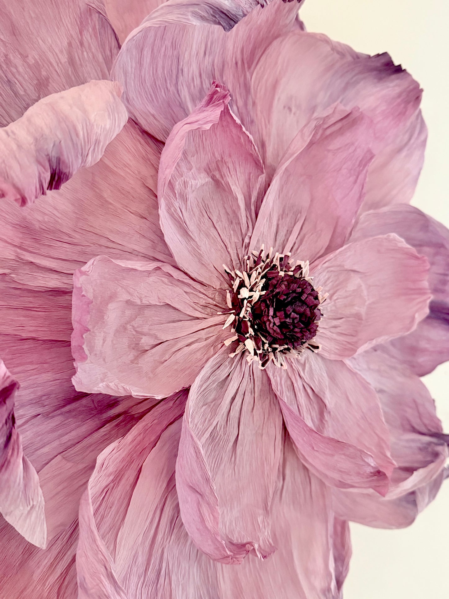 Vägglampan ”Chleo”