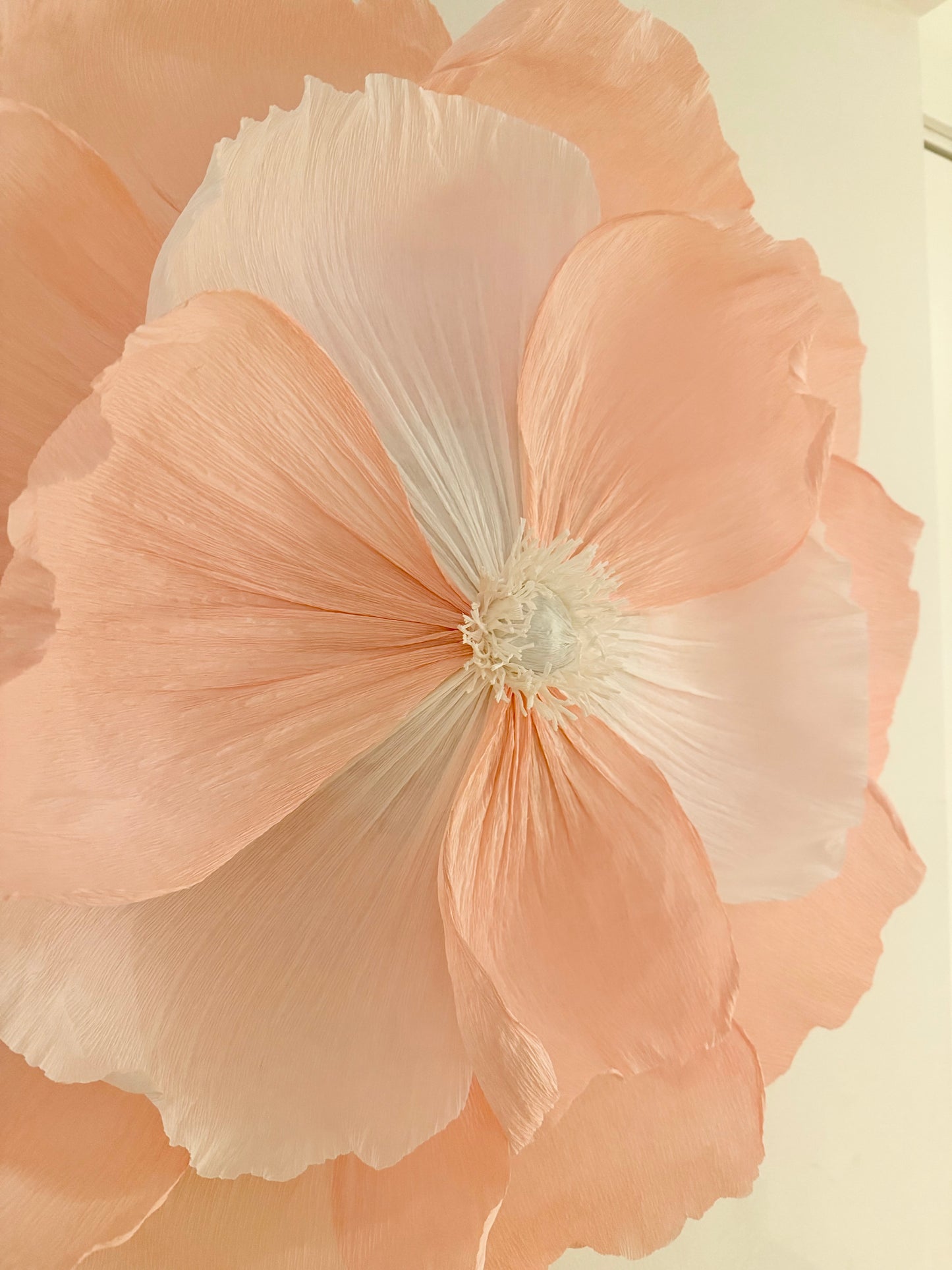 Vägglampan ”Stella”