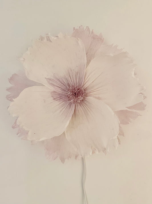 Vägglampan ”Astrid”