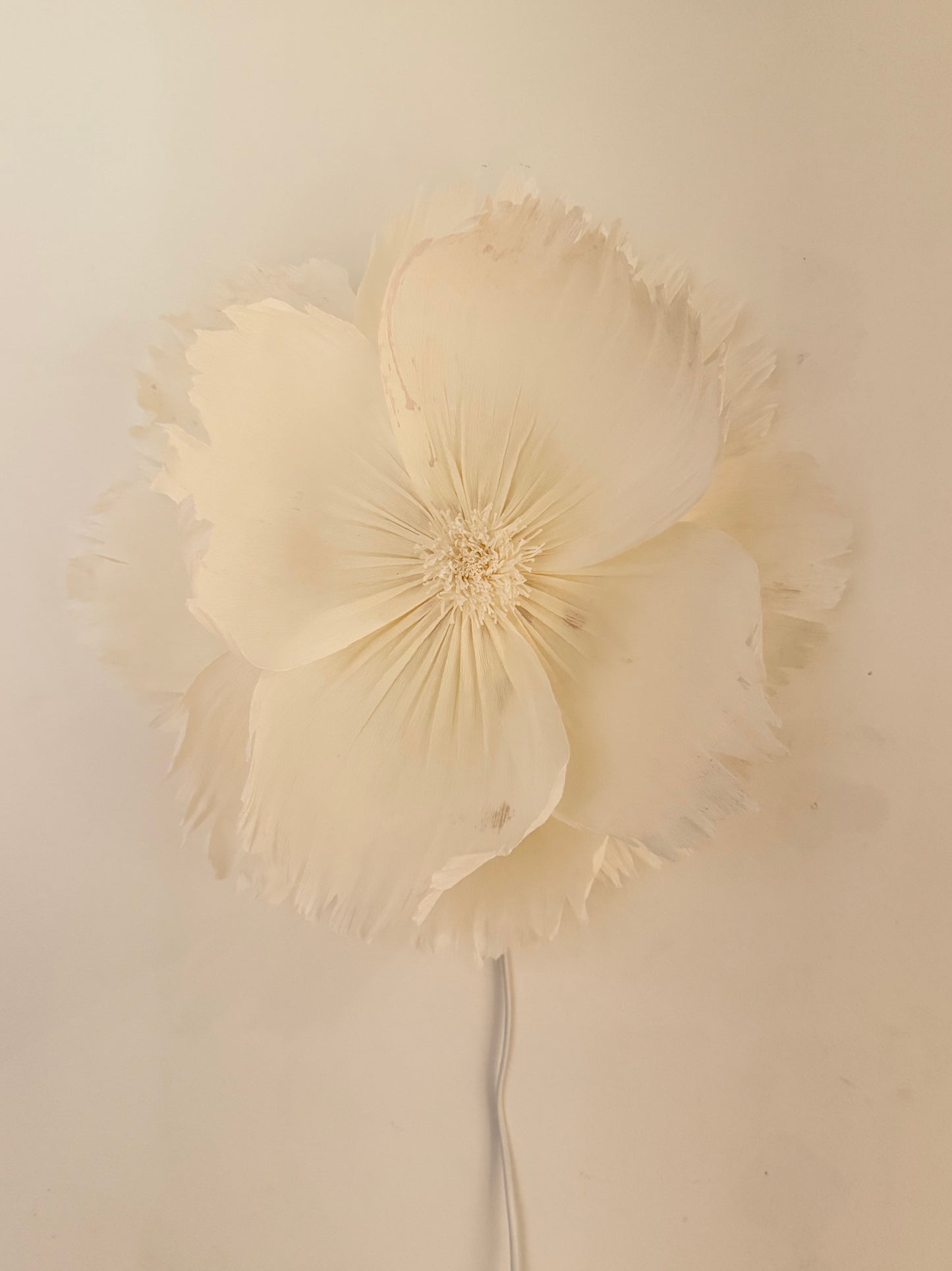 Vägglampan ”Lily”