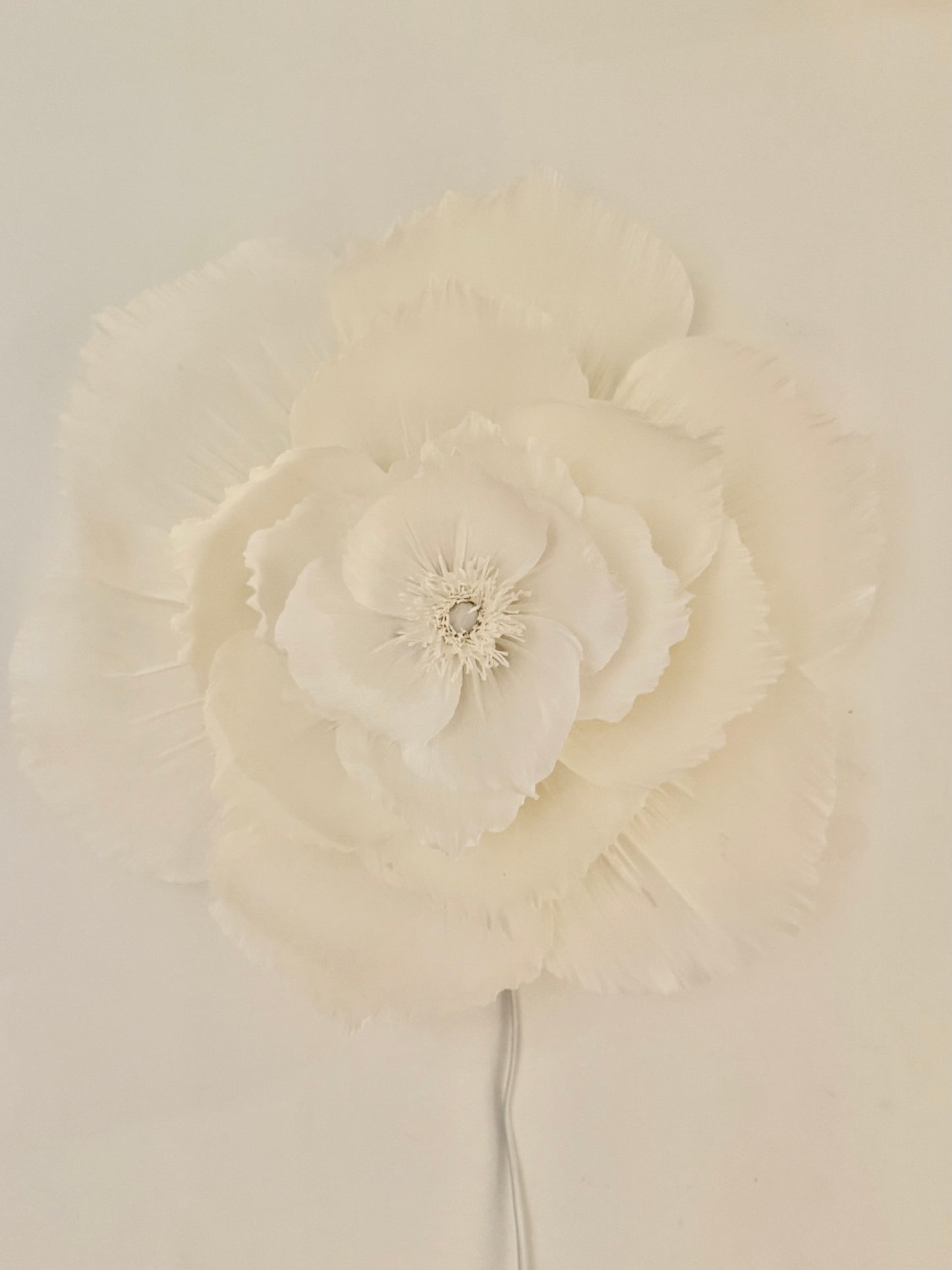 Vägglampan ”Signe”